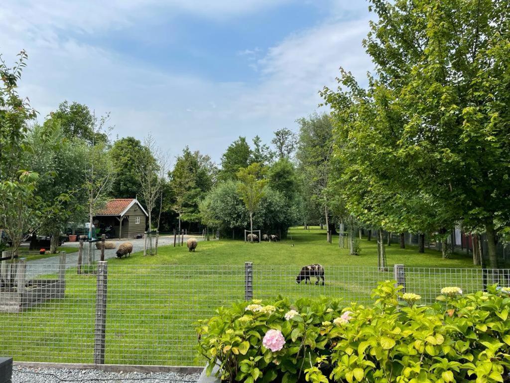 Flora'S B&B Landsmeer Экстерьер фото